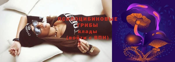 дурь Бронницы