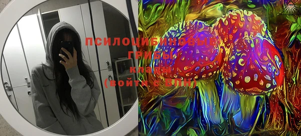 дурь Бронницы