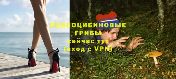 дурь Бронницы