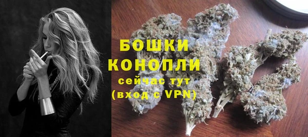 дурь Бронницы